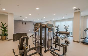 A gym with cardio equipment